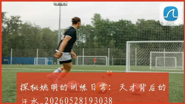 探秘姚明的训练日常：天才背后的汗水_20260528193038