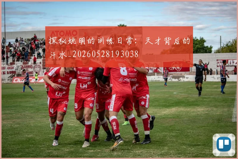 探秘姚明的训练日常：天才背后的汗水_20260528193038